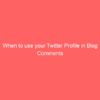 When to use your Twitter Profile in Blog Comments